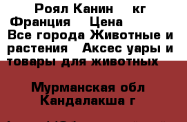  Роял Канин 20 кг Франция! › Цена ­ 3 520 - Все города Животные и растения » Аксесcуары и товары для животных   . Мурманская обл.,Кандалакша г.